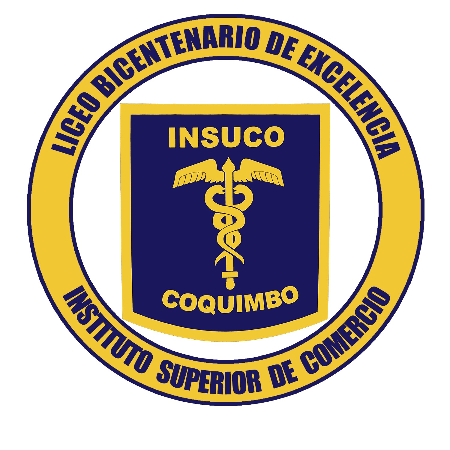 Logo INSUCO